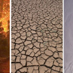 অৱনমিত ভাৰতৰ জলবায়ু পৰিৱৰ্তনৰ সূচকাংক